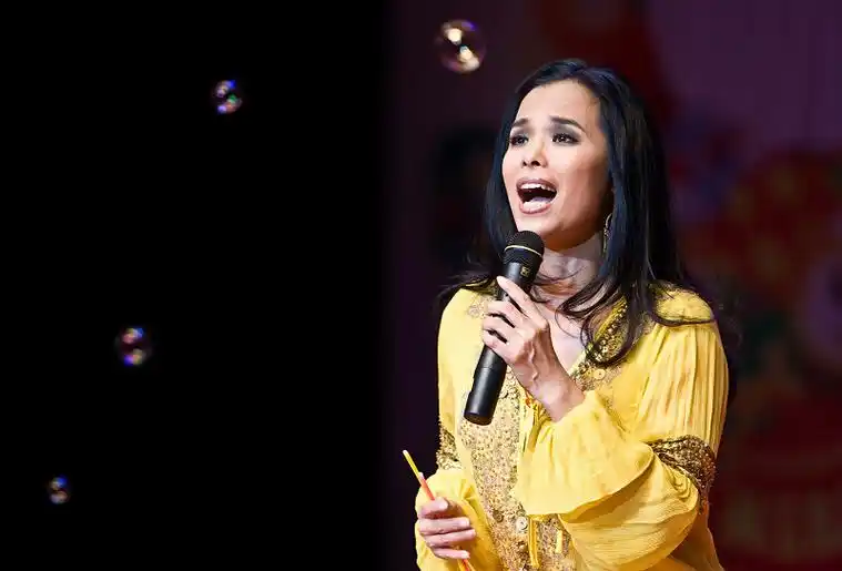 出自歌曲《爱我中华》,原唱是韦唯.