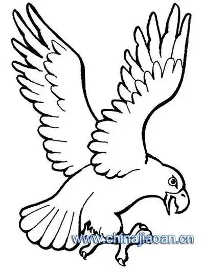 老鹰的简笔画 老鹰的简笔画简单