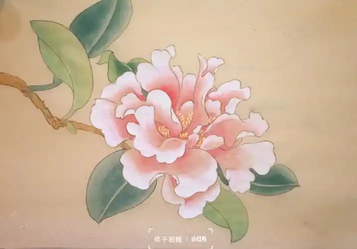 国画工笔花鸟入门教程简单有步骤