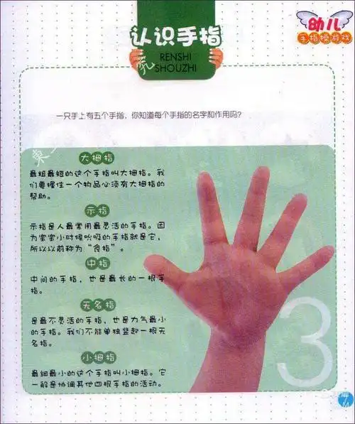 宝贝们拿出你们的小手,我们来认识一下手指宝宝哦
