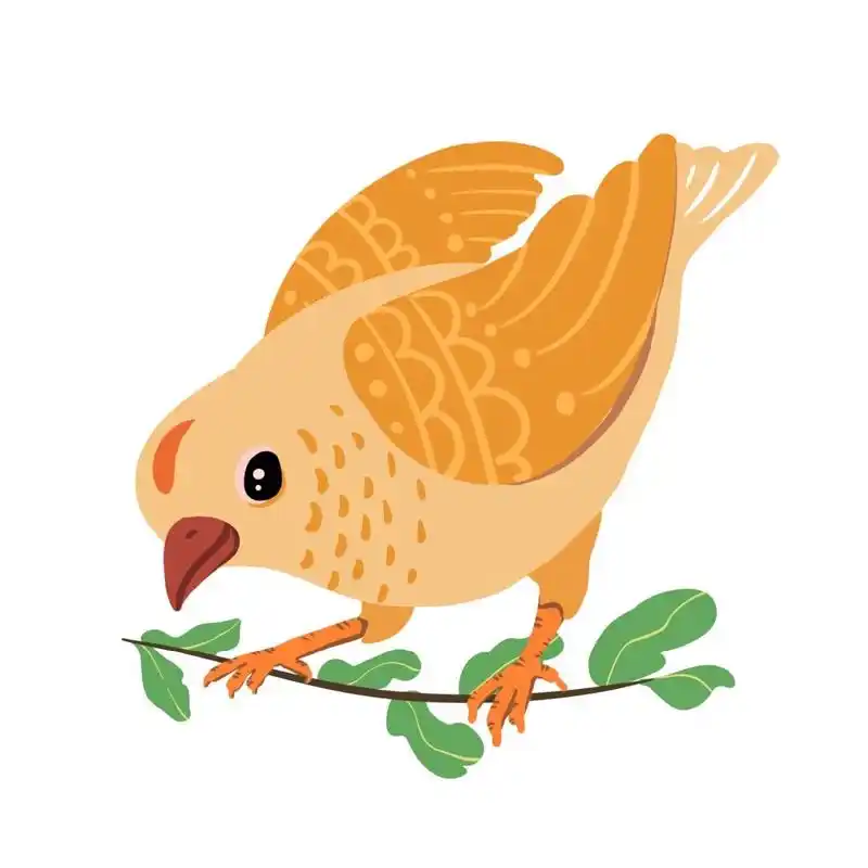 素材】手绘卡通春季鸟类元素插画 00上次给大家分享的鸟类插画元素