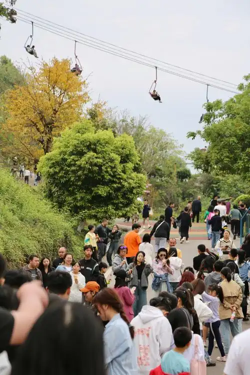 清明小长假重庆近郊游人气爆棚