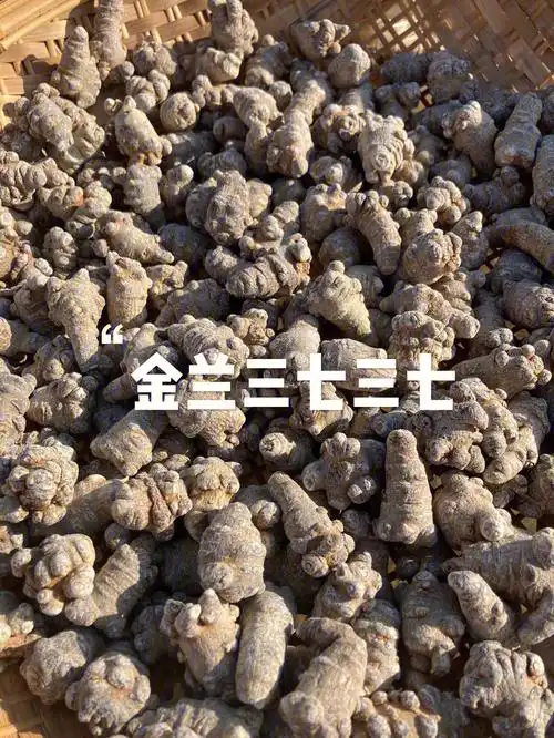 长不大就需要打催生素和农药,这种三七长期吃了对身体是非常不好的