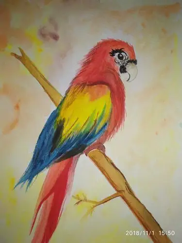 刚学画暖色调水彩画 点评吧!