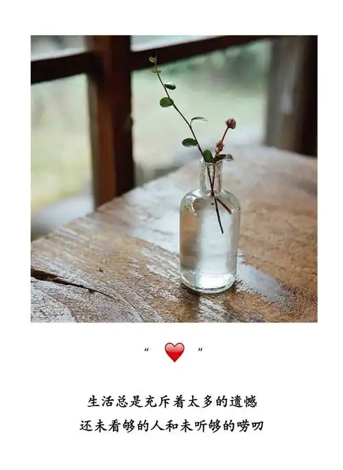 心情图文配图高清精选,文字,文字,文字图片,爱情,随性,心情,心情语录