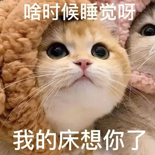 情侣表情包你跟你对象不会还没有叭