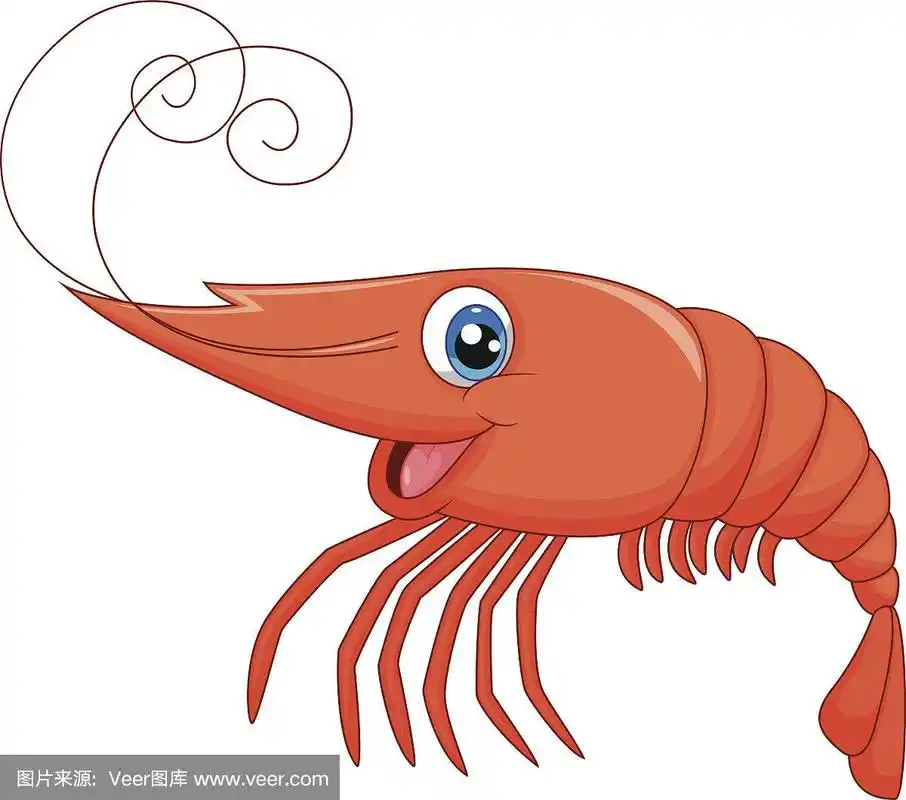 可爱的卡通虾
