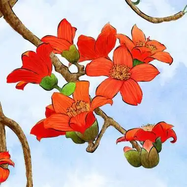 收集   点赞  评论  几树半天红似染,居人云是木棉花.