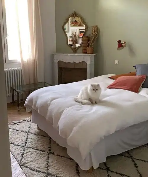 如何自拍才能获得高赞