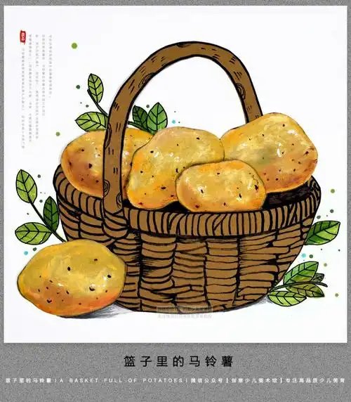儿童画教程一筐土豆