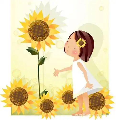 难忘的向日葵背影