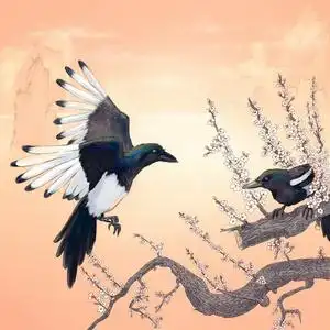 两个喜鹊图片