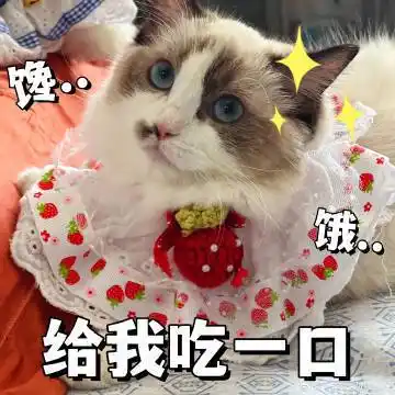 馋 0 饿 给我吃一口表情