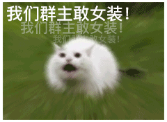 我们群主敢女装我们群王敢女装!