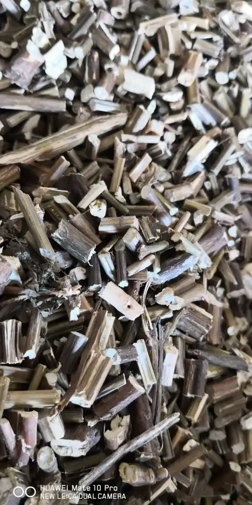 紫苏梗 量大从优 常年经营各种中药材