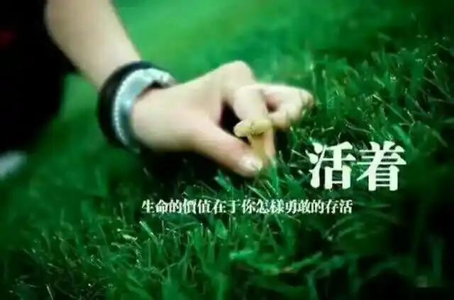 生命的价值:在于人怎样勇敢的活着