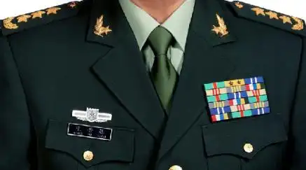 军人胸章级别图解(军官的胸章怎样辨别军衔高低) 图18