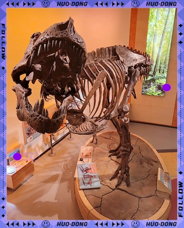 恐龙足迹与琥珀中的奇观:邢立达的科学探索