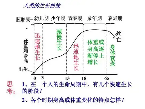 2走向成熟ppt 浙教版七年级科学 人类的生长曲线 胚胎期 幼儿期 少年