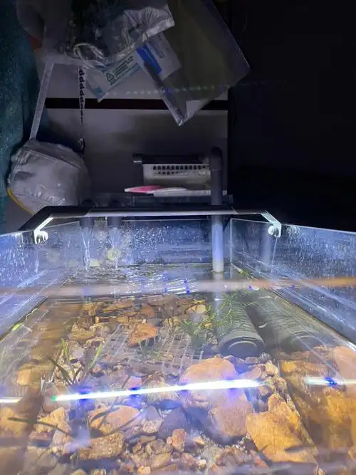 分体式鱼缸侧滤③