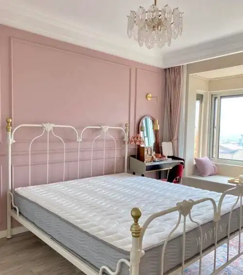 内墙蔷薇珊瑚网红净味环保乳胶漆翻新修复自刷内墙乳胶漆