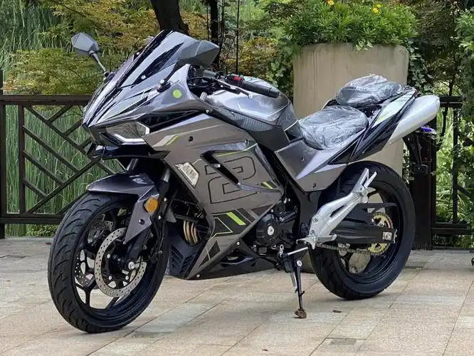 定制全新国产h2款式摩托车400双缸水冷电喷跑车机车大排量重型趴赛