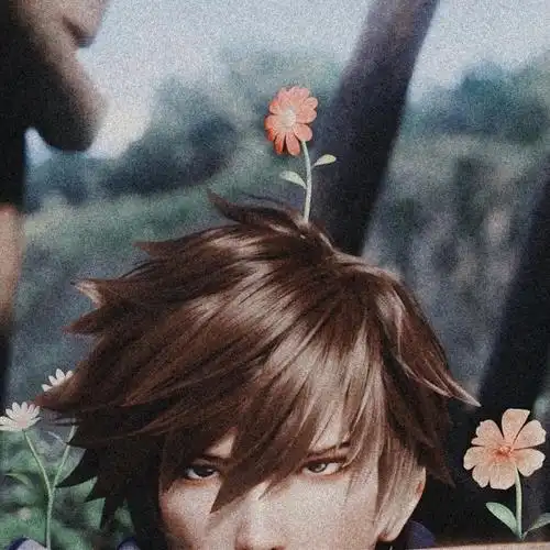 王者荣耀新英雄澜蔡文姬情侣头像