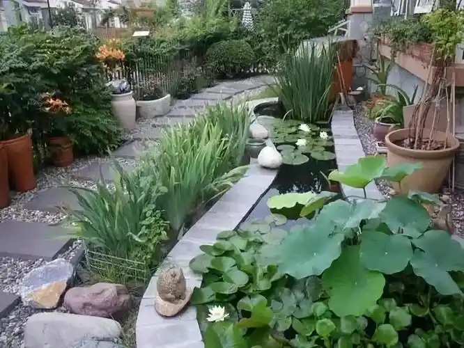 这才是乡村庭院该有的样子