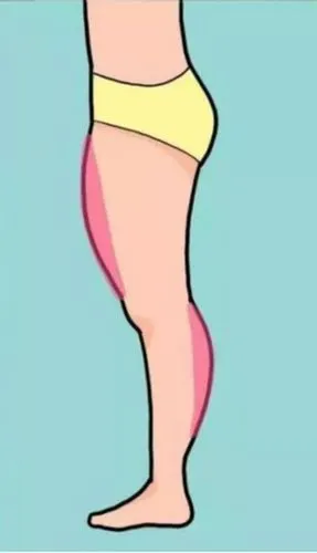 大腿前侧肉比较突出练臀至今臀线没有明显提高如何改善谢谢各位