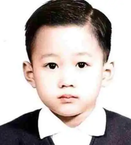 黄家驹死亡真相(黄家驹死亡真相葬礼现场视频)  第13张