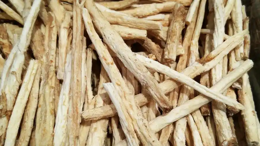 常用中药北沙参的功效与作用