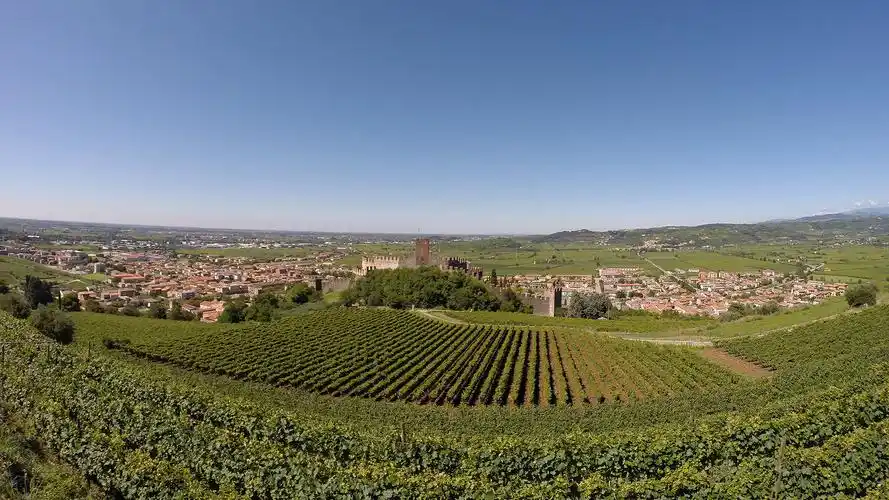 晚宴意大利顶级酒庄pieropan庄主晚宴体验米其林三星餐厅