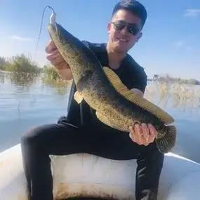 鸿运休闲垂钓园钓鱼天气_鸿运休闲垂钓园气压预报_园