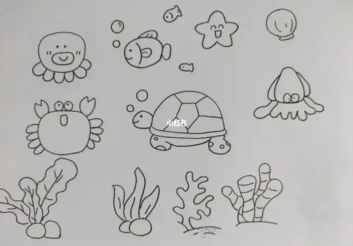 简笔画之海底世界