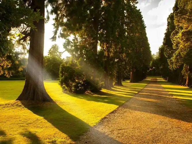 阳光,公园小巷,树木,道路,草 壁纸 | 1600x1200 壁纸下载 | hk.best-w