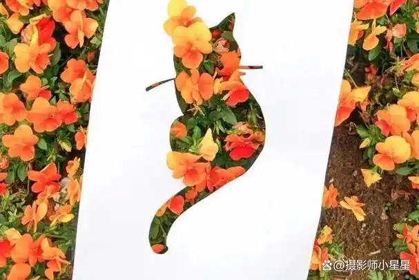 创意摄影镂空剪纸拍春天怎么这么好看
