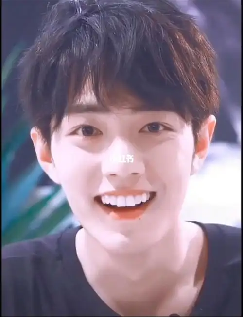 肖战的笑容可以融化世界上的一切