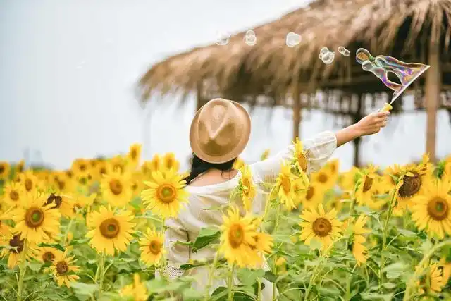 2020的好心情源泉,向日葵花海我来啦