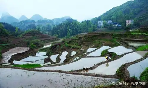 湖北恩施:春耕时节,苗乡农民耕田忙!