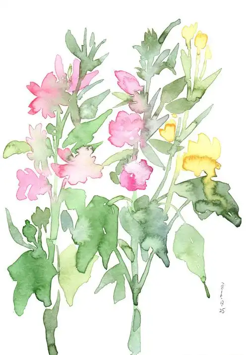水彩植物