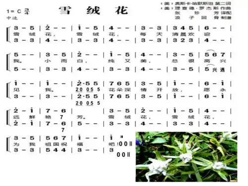 人音版八上25演奏雪绒花片段课件12张ppt