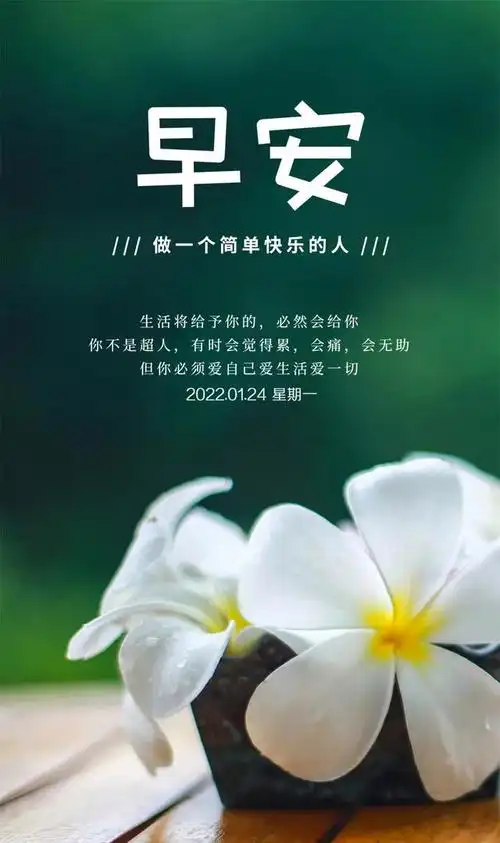 24」早安心语,正能量朋友圈心情语录很潮的早上好图片_句子_金语录