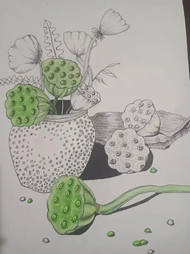 今日所画—莲蓬#手绘临摹  - 抖音