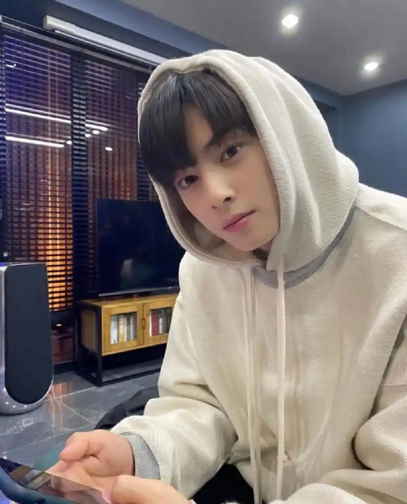 宋慧乔车银优,真的假的04我怎么不太信 车银优瘦了以后变成了一个对