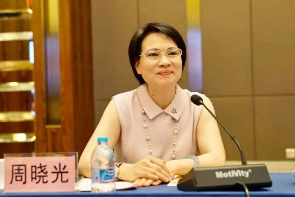 《鸡毛飞上天》 义乌玉珠集团创始人,浙江新光控股集团董事周晓光