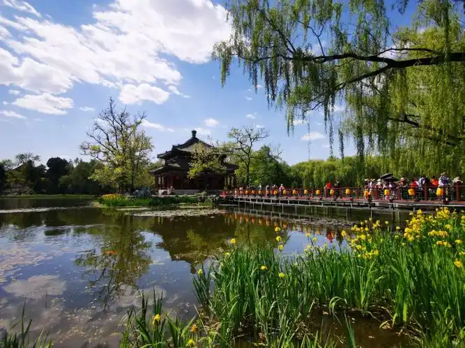 圆明园遗址公园