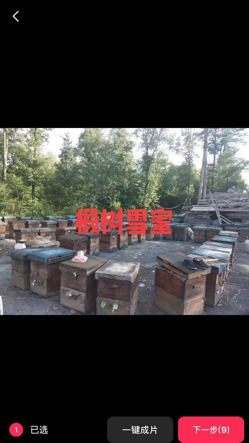 长白山椴树雪蜜#大山里的原生态 #增强抵抗力提高免疫力 - 抖音