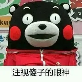注视傻子的眼神熊本熊表情