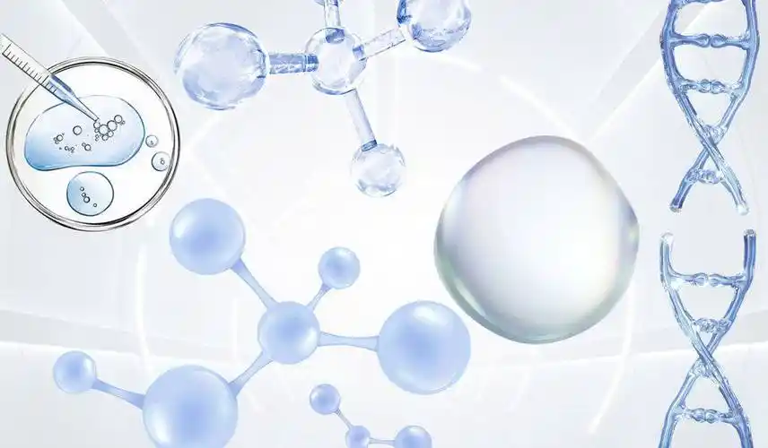 包裹超顺磁氧化铁磁性纳米颗粒(spions)pcl 纳米短纤维被海藻酸钠水