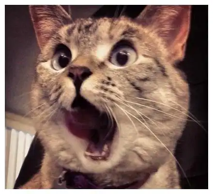 根据艾媒咨询数据,以2019年为例,中国休闲食品行业市场规模已经达到